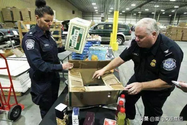 美国ams申报,美国ams申报注意事项