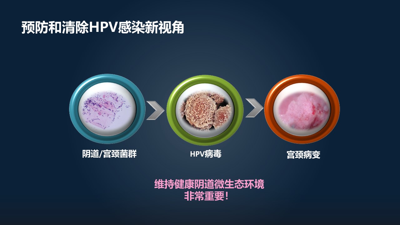 肖冰冰,肖冰冰的创作