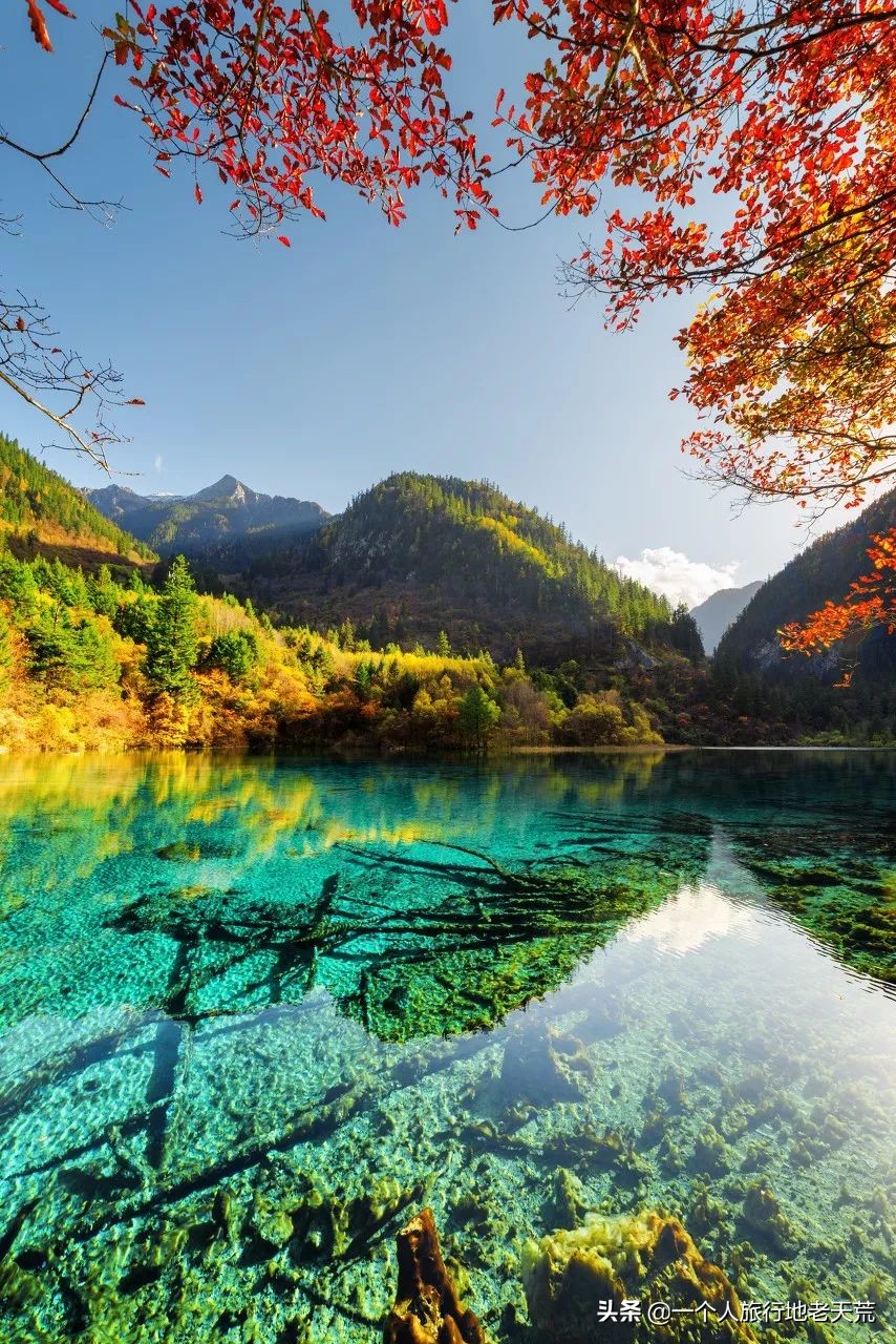 有生之年一定要去四川吗,年轻时不能去四川吗