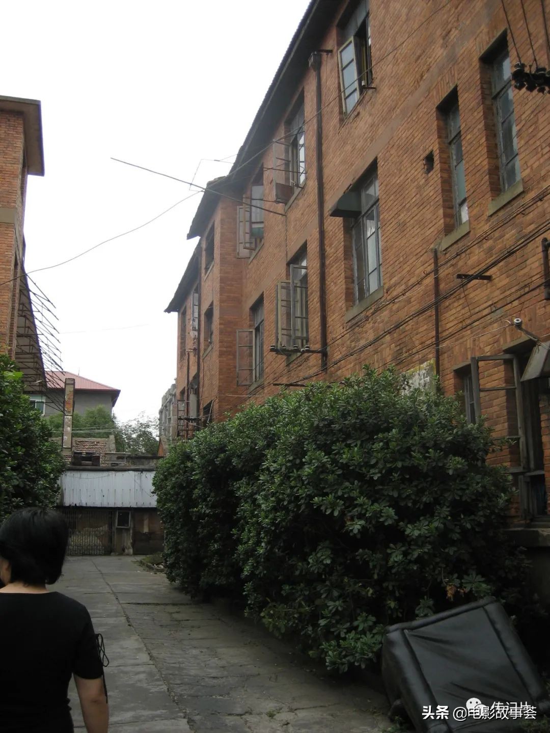 影视人生：老厅纪事之二十：食堂小道上的“阅兵式”