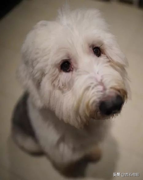 网红宇芽被家暴视频完整版,家暴受害者宇芽完整版