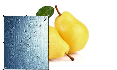 ps圆角矩形缩放圆角不变形,ps缩放比例不变形快捷键