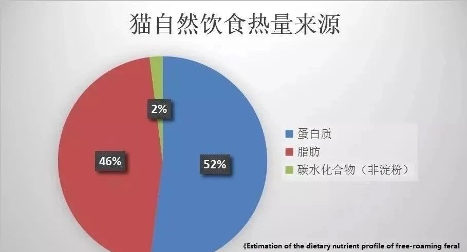 猫咪吃猫饭便便不臭,你家猫拉屎有多臭