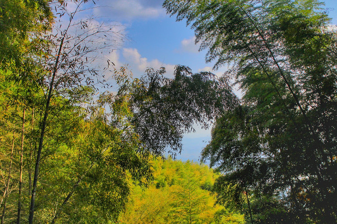 湖州周日游玩攻略推荐,湖州出游推荐