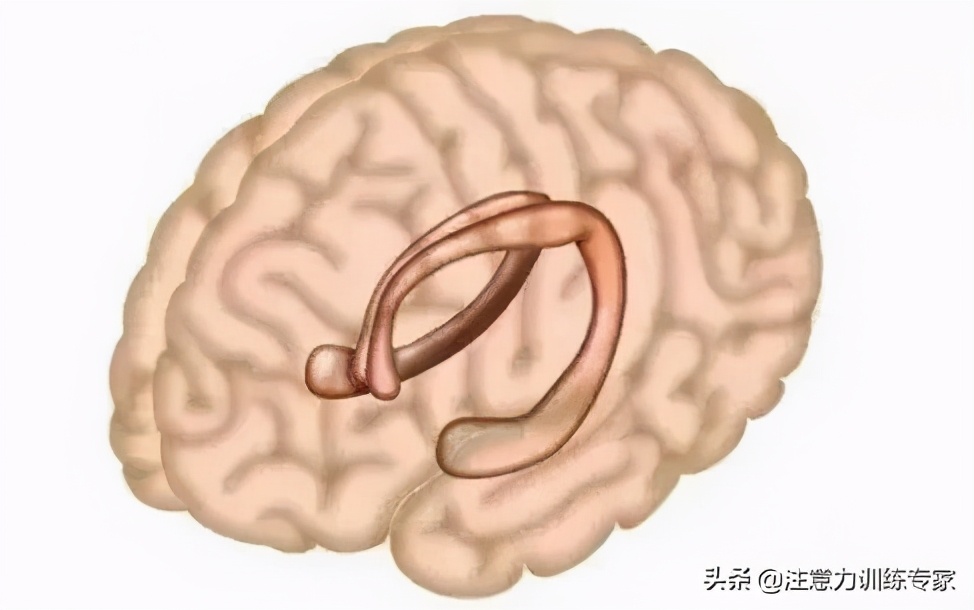 一考试就头脑空白？2个方法科学减少大脑刺激，孩子学习更高效