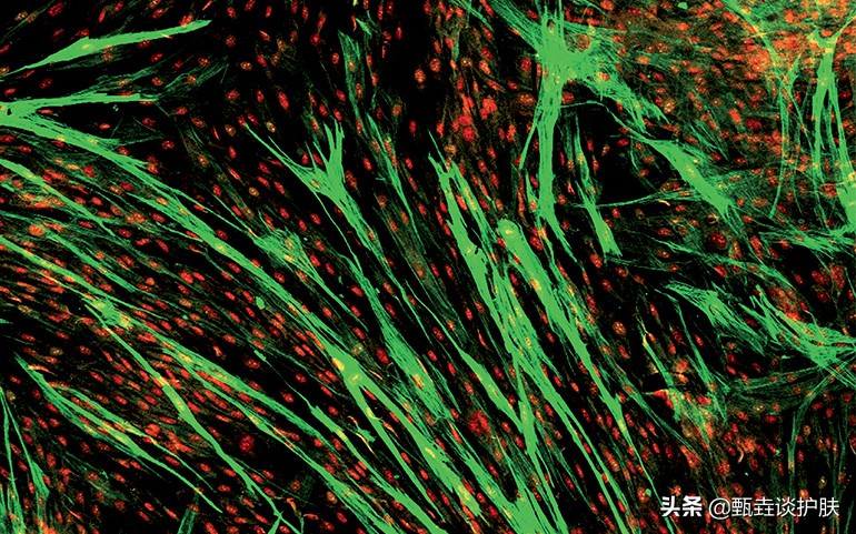 扒一扒欧莱雅太空霜的真实效果,欧莱雅太空霜缺点