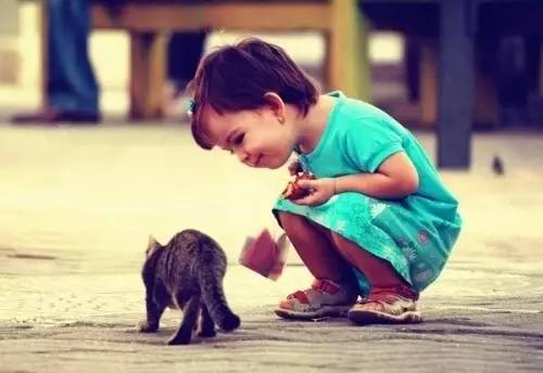 2岁4个月喜欢学狗叫,2岁宝宝一直学狗叫