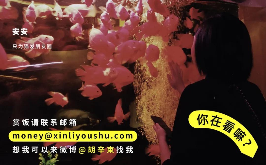 高分悬疑好剧推荐,最新高分热剧推荐