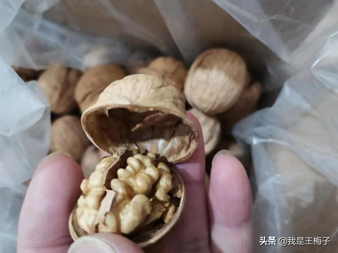 哪里的核桃口感最好,核桃产地哪最好吃