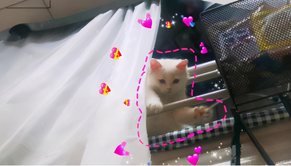 学生宿舍违规违禁物品清单,大学生宿舍查禁品