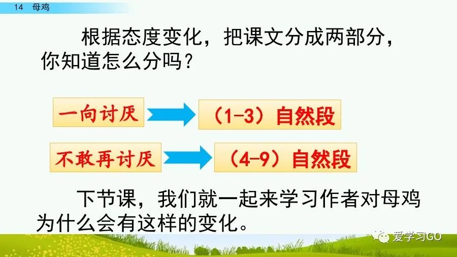 部编版四年级下册15课白鹅解析,部编版四下语文第13课母鸡预习