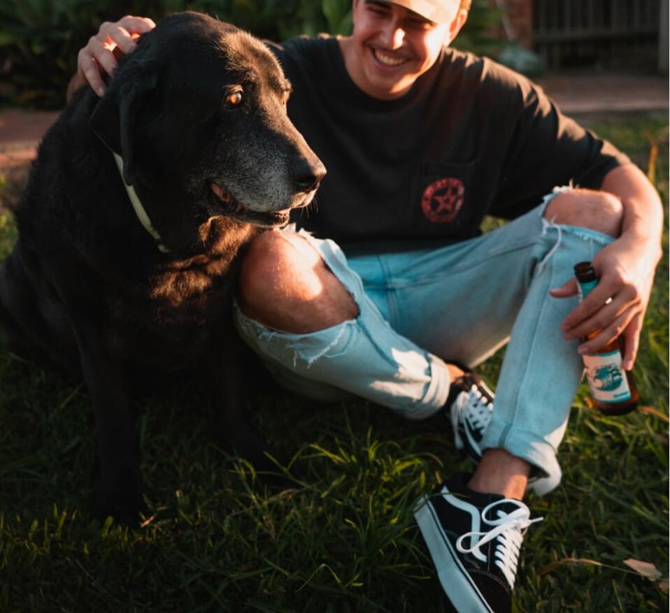 vans解构黑粉新款,vans鞋焕然一新