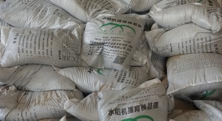 农村青年赚钱,农村青年创业模式