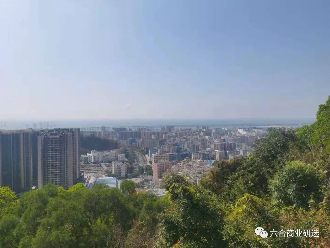 2021回乡见闻录全部视频,2023返乡见闻