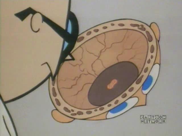 90年代引进的美国动画片,央视引进的美国动画片