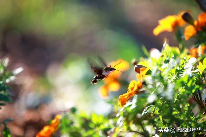 营口团山海洋公园是北海公园吗,营口团山海洋公园和金帛滩哪个好