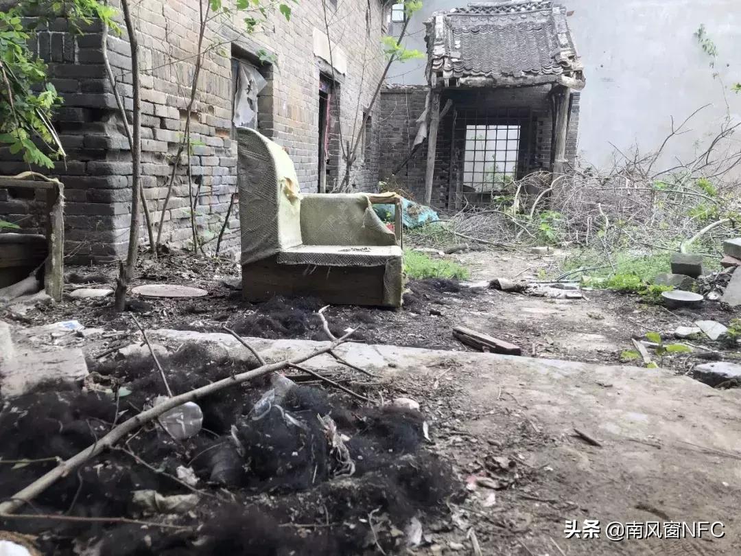 假发之都许昌版,假发之都许昌占比