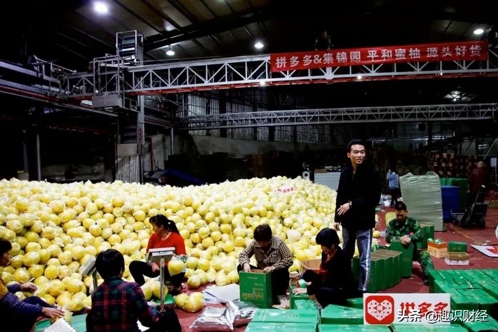 新农人2022振兴农村新经济,乡村振兴下新农人的出路和机遇