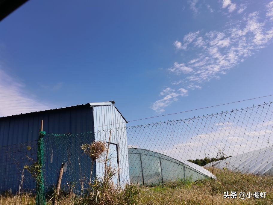 冬棚虾怎么加温，来看看吧