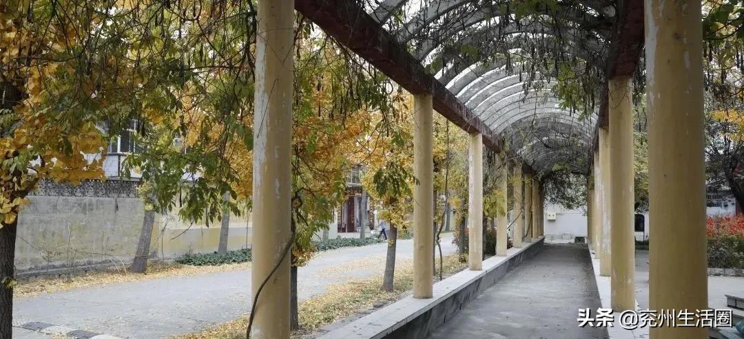 兖州排名第几,兖州最好的镇排名