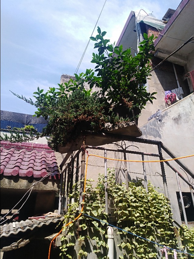 王玉：余沟初秋与老城老人