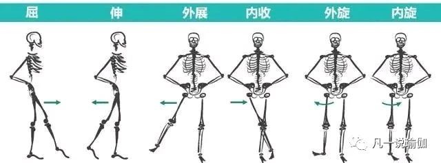 坐角式转动骨盆练习,瑜伽坐角式如何转髋