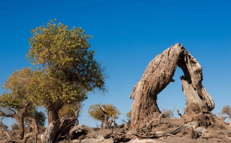 教改20年，三线以下城乡素质教育的问题和希望（原创