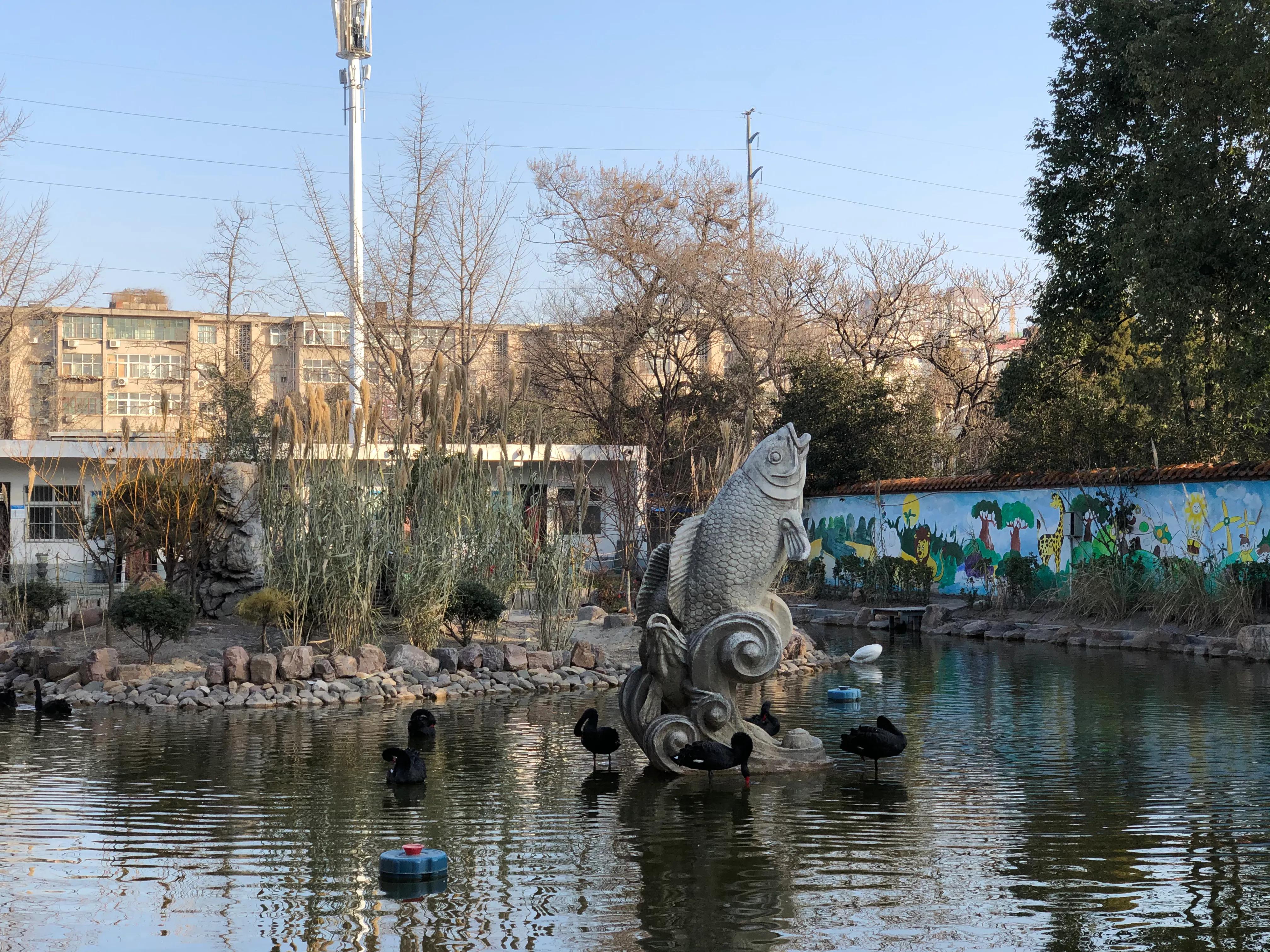 平顶山河滨公园旅游攻略,平顶山森林公园游记