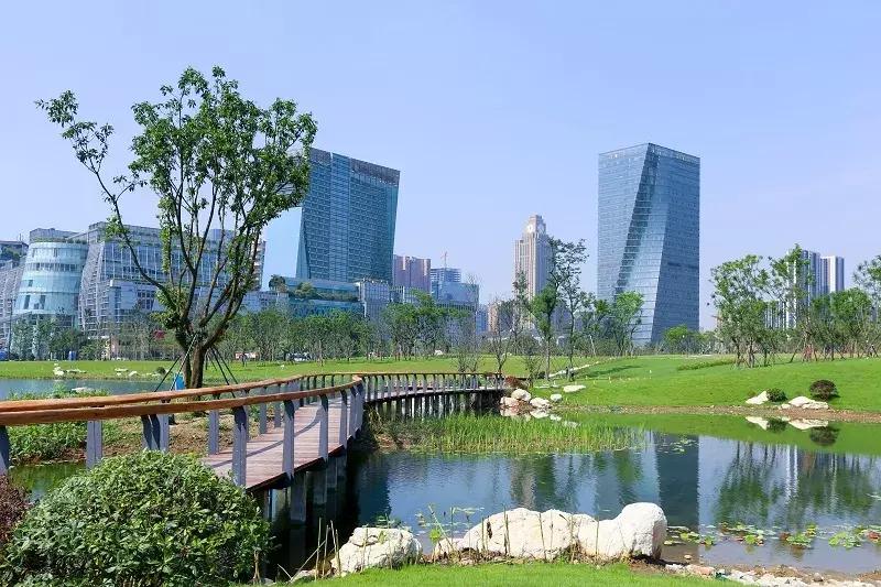 世警会真的来了吗,世警会即将举行完整版