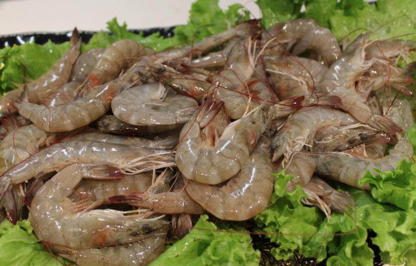 鲜虾放冷冻能保存多久,怎样保存鲜虾放冰箱冷冻