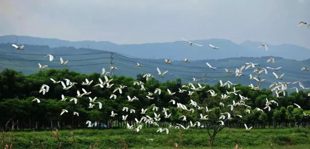 开远有多远,开远是哪