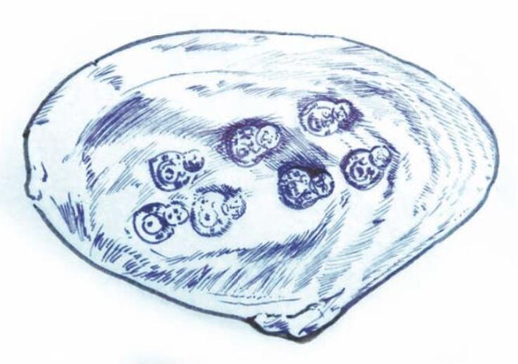 溯源俗语老典故书籍,溯古寻古原文及翻译