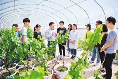 南师大的十大冷门专业,医学冷门却牛逼的专业