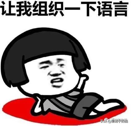 猫咪体外驱虫药哪个牌子好,驱虫最全的猫咪外驱