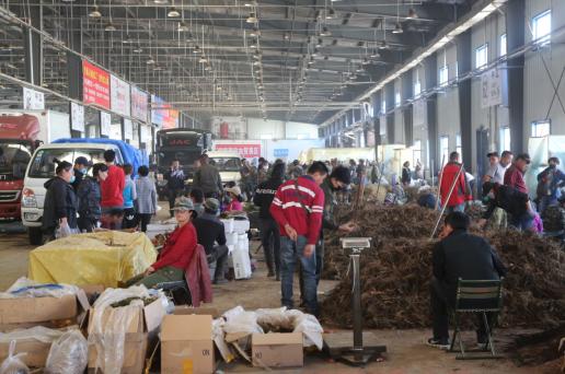 抚松万良人参交易市场价格,抚松县万良镇长白山人参市场