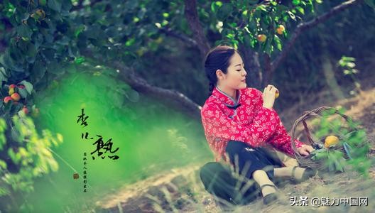 杏儿熟了课文,杏儿熟了原唱完整版