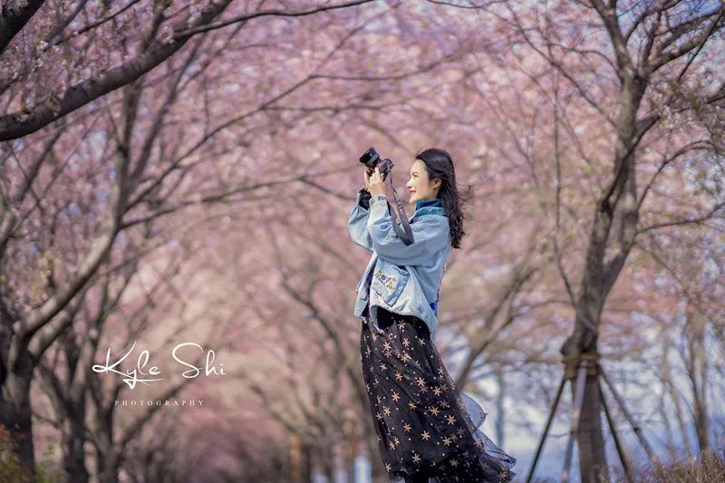 樱花季去日本价格高吗,樱花季去日本旅行