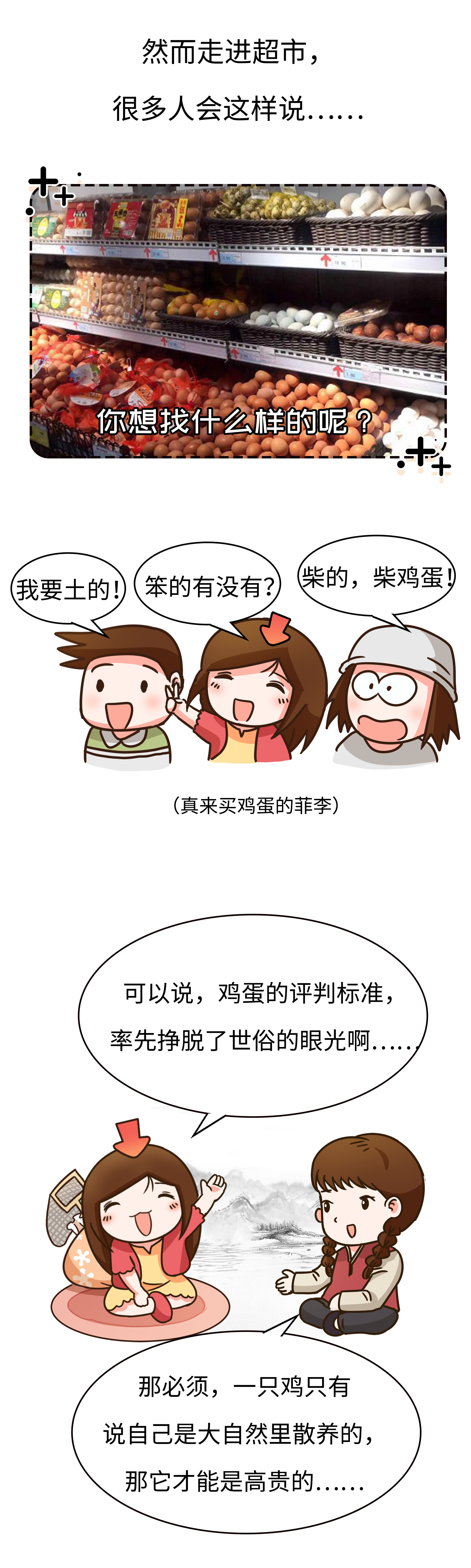 高价格，假广告，毒饲料，如何避免吃到不靠谱的鸡蛋（菲李漫画）