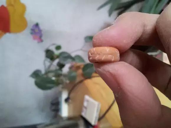 切片凤眼手串,自制纸菩提手串