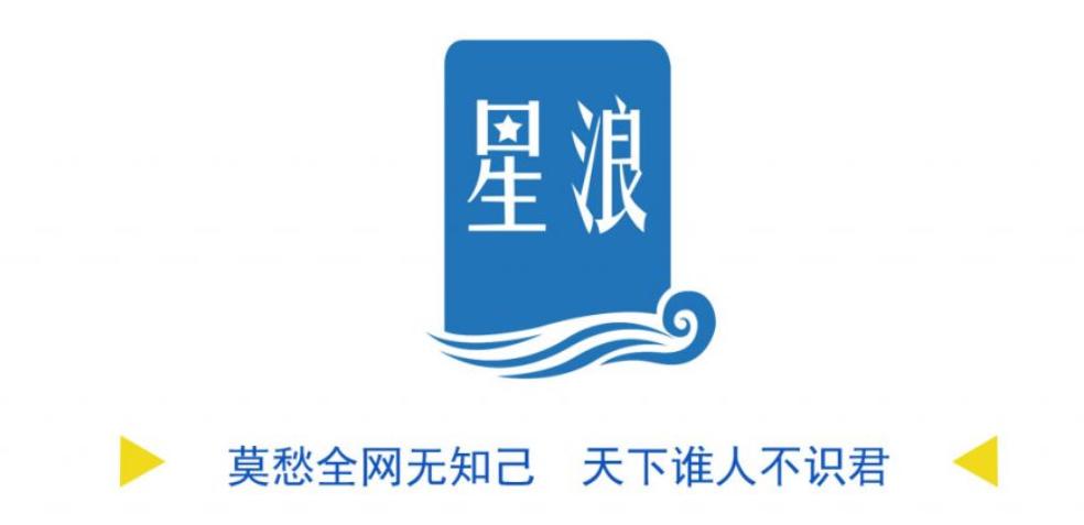 关于星浪综合网的软文,新浪综合网销量