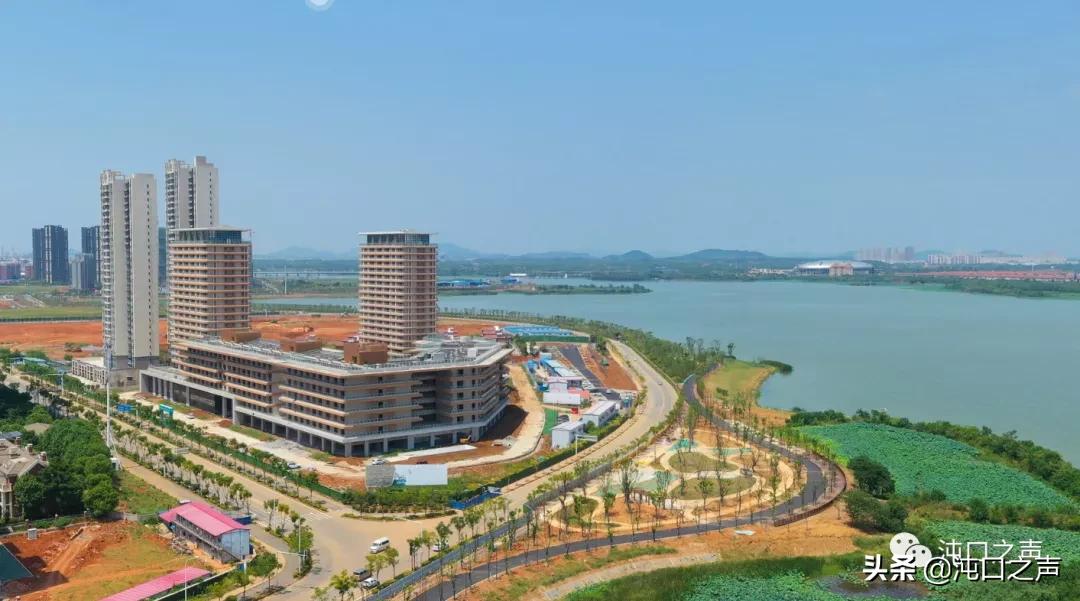 这排高楼，颠覆了很多人对沌口薛峰的印象