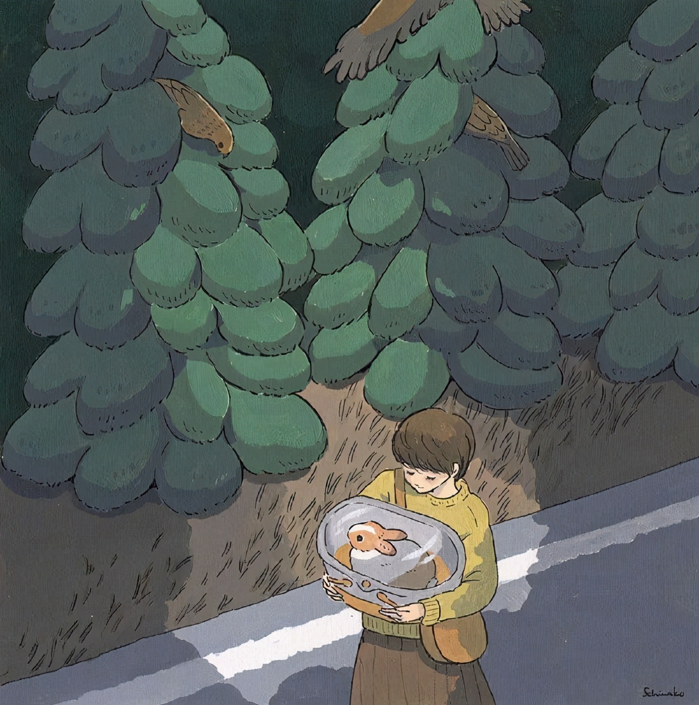 月亮是圆的星球,月亮是自己的星球