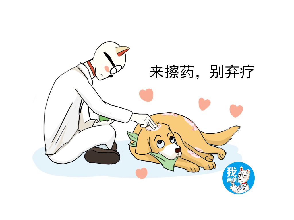 狗狗得了湿疹涂什么,狗狗得了湿疹能不能洗澡