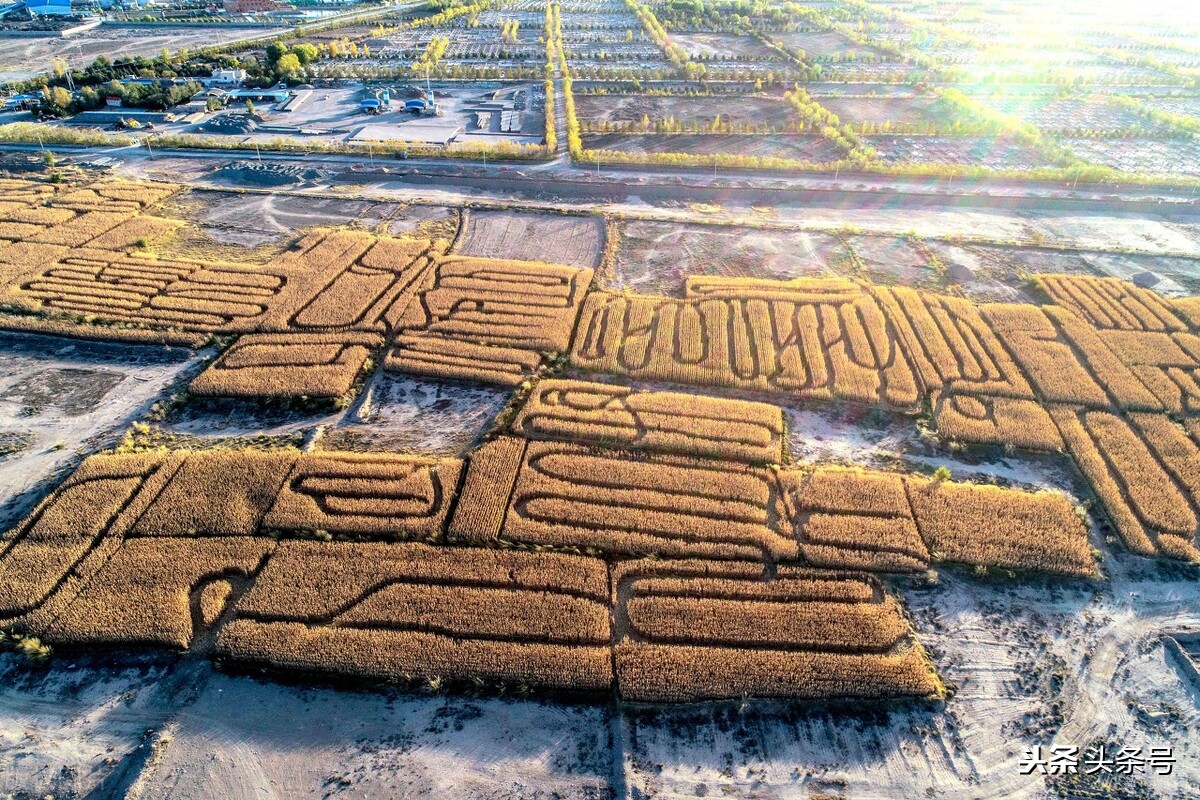 甘肃张掖市发展潜力大吗,国家大力发展甘肃庆阳