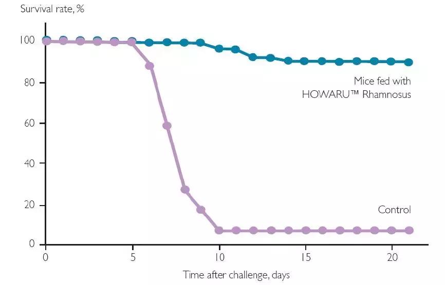 宝宝腹泻益生菌乳糖酶怎么吃,乳糖酶加益生菌可以缓解腹泻吗