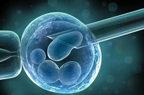 细胞治疗与干细胞技术,细胞治疗应用领域