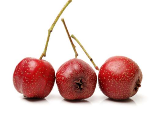 山楂树种植：科学规范管理山楂树，提高山楂树果实产量