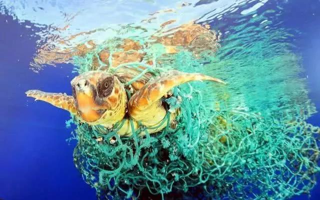 垃圾变艺术品,垃圾变成艺术品教学