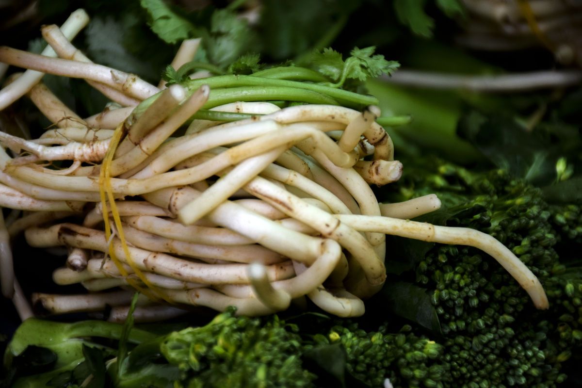 乡土散文折耳根,折耳根里的乡愁