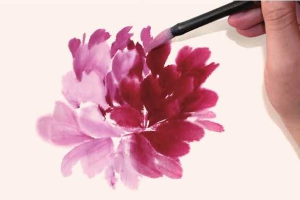 国画牡丹和石头的画法图片,初学国画牡丹花头画法图解